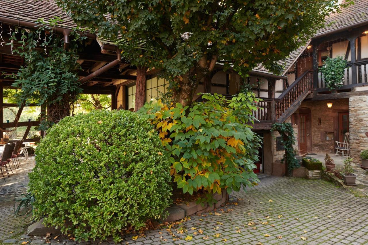 La Cour De Lise Maison D'Hotes Et Spa Willgottheim Eksteriør bilde